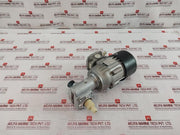 Rexroth 3 842 532 421 Motor With Gear Reducer Ip55 230/400V 0,25Kw
