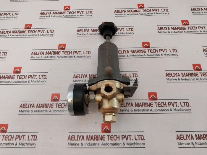 Riegler 0-230 Lb/In2 Pressure Gauge