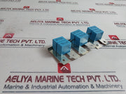 Rifa Phe 448 Capacitor