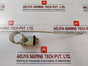 Robertshaw Model S-100-48 Electric Thermostat 30 Amp 277V Ac