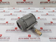 Rosemount 3144P Smart Family Temperature Transmitter D6A1K7M5Q4Xa