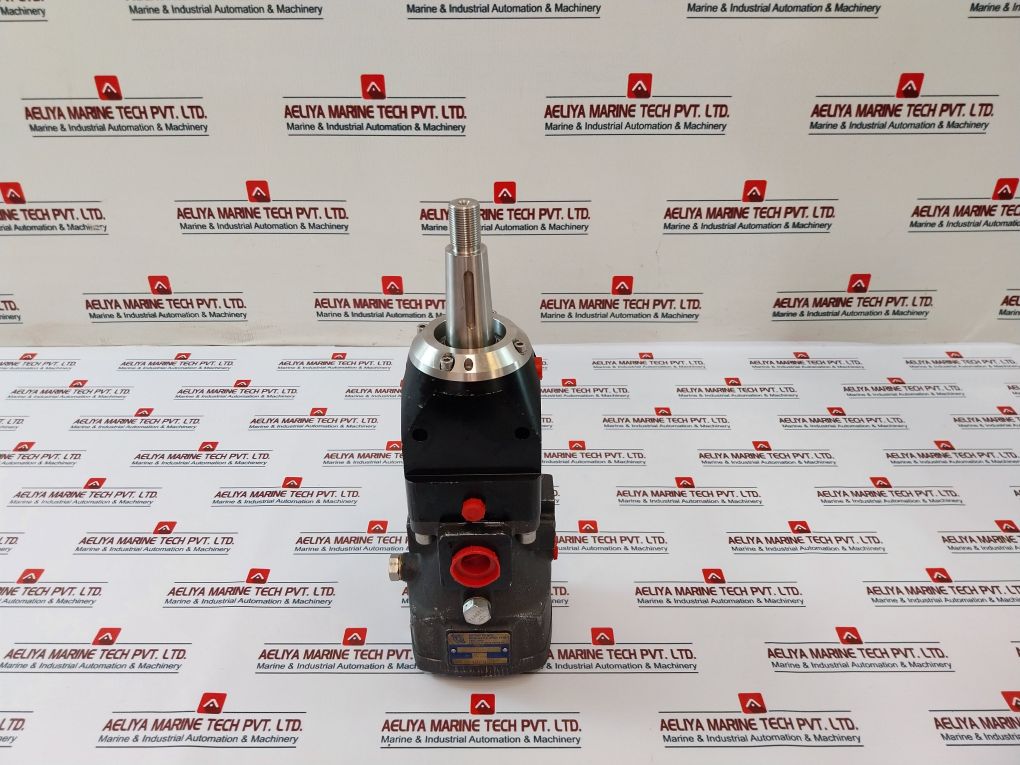 Rotary Power P20N4N6N00 Motor