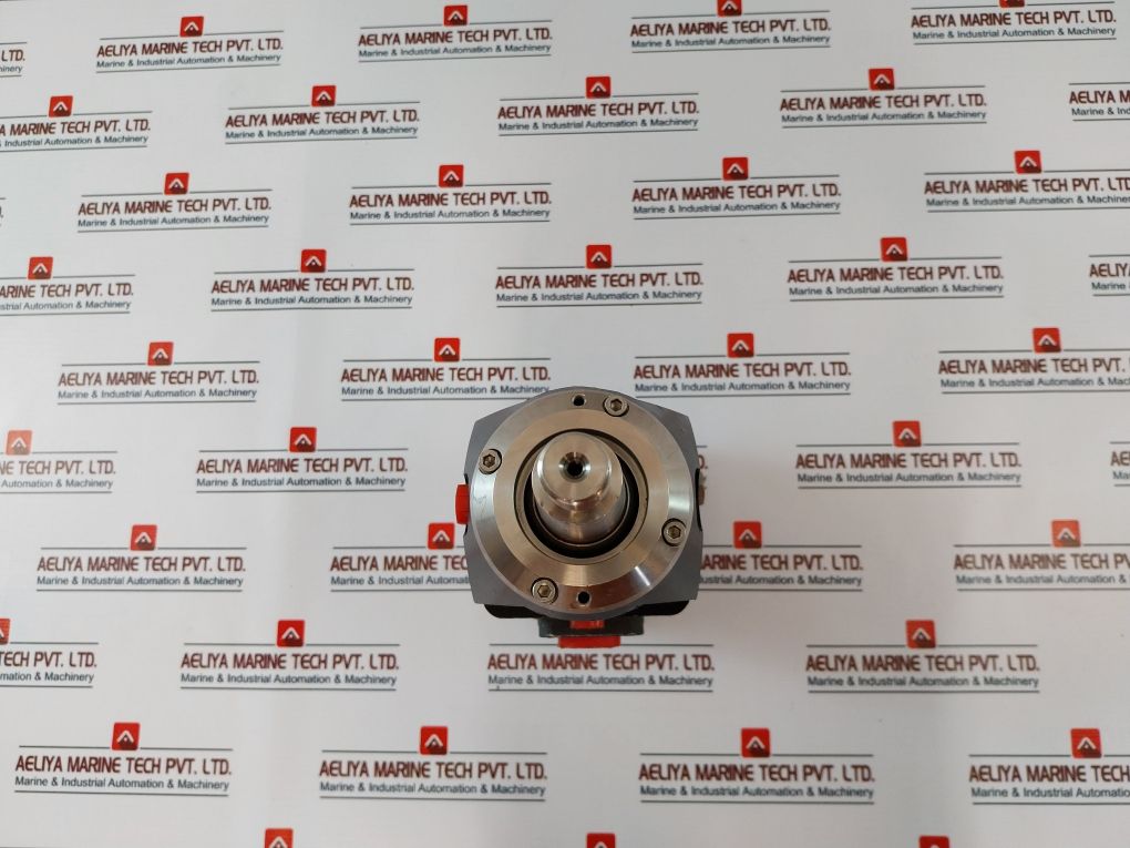 Rotary Power P20N4N6N00 Motor