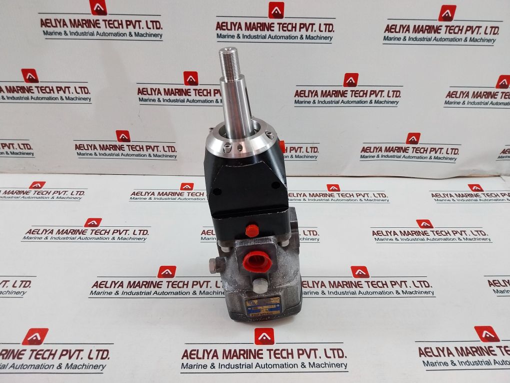 Rotary Power P20P4N6N00 Motor