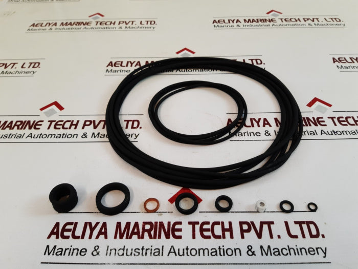 Rr “2036” Seal Kit 6619899