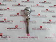 Rtd-pt100 Resistance Bulb 600C 3/4Pf 99-mm 104.11