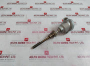 Rtd-pt100 Resistance Bulb 600C 3/4Pf 99-mm 104.11