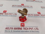 Rubens Broby Pn 100 Needle Valve 402730