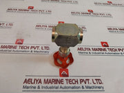 Rubinetterie Dn-1/2 Straight Steel Union End Valve (Needle)Â 