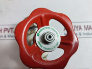 Rubinetterie Industriali S 3000 Straight Steel Union End Valve (Needle)