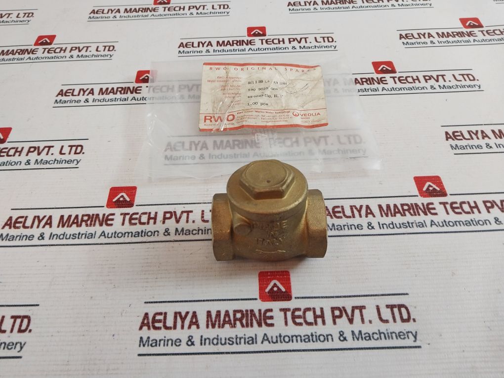 Rwo 1" Non Return Flap Valve 590 9025 001