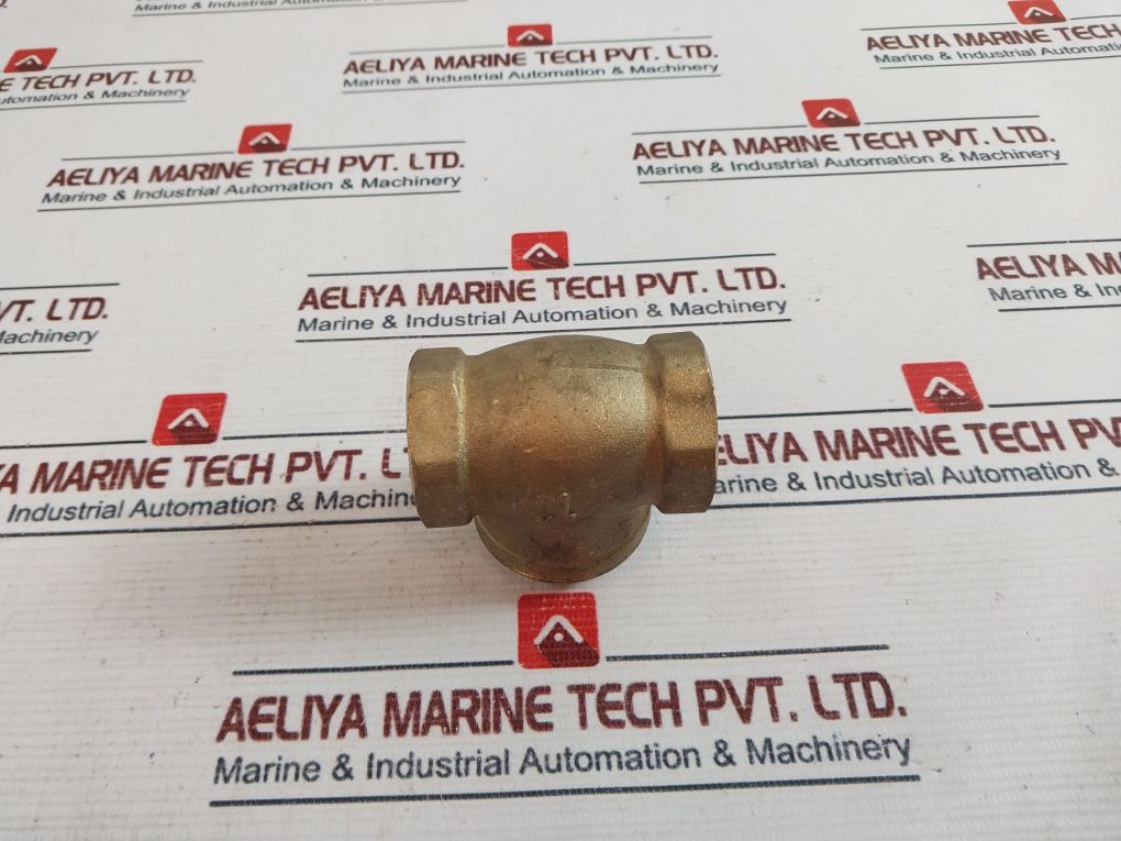 Rwo 1" Non Return Flap Valve 590 9025 001