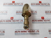 Rwo Pn16 Pa-ix Pneumatic Brass Angle Seat Piston Valve G1/2” Sk50-ms