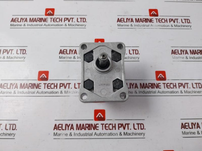 Salami 1Pb1.1D Hydraulic Gear Pump 612870002 1Mf1Pf95G