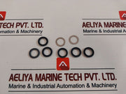 Samson 1120-2444 Packing Kit 1395315