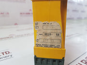 Schiele Time Relay Ern