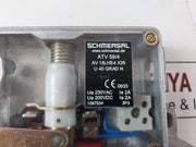 Schmersal Atv 59/4 Door Locking System (New)
