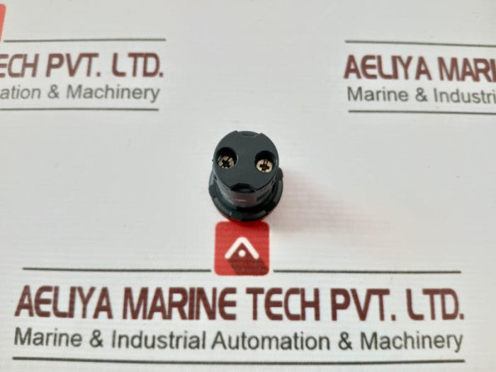 Schneider Electric Xb7Ev04Bpn Monolithic Pilot Light 4Bpn 24V Ac/Dc