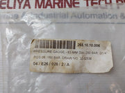 Schoenrock Hydraulik 0-250 Bar Pressure Gauge