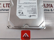 Seagate 9Bj03E-307 Barracuda 7200.10 Hard Drive Disk 250Gb