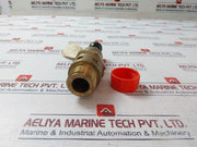 Seetru 311202900 Safety Valve 2.1 Bar