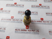 Seetru 311202900 Safety Valve 2.1 Bar