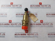 Seetru 311202900 Safety Valve 2.1 Bar