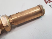 Seetru Tuv Sv 17 893 8 Relief Valve new