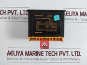 Selec Pic101A-t-230V Process Indicator