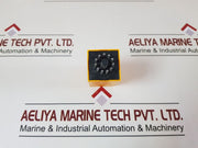 Selectron Rzea 30 Time Relay