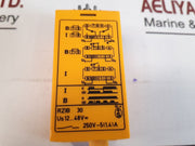 Selectron Rzib 30 Time Relay (New)