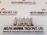 Set Of 5X Hazemeyer 63210 Fuse 500V