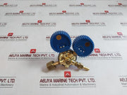 Shanghai Lz02830020 Oxygen Pressure Reducer 0-2.5 Mpa A2306062, A2305272