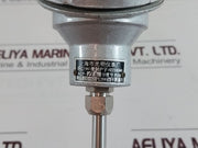 Shanghai Pt100 Temperature Sensor Wzp-192