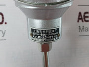 Shanghai Wzp-192 Thermal Resistance Temperature Sensor Pt100