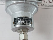 Shanghai Pt100 Temperature Sensor (Used)