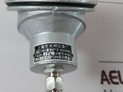 Shanghai Pt100 Temperature Sensor Wzp-192 -200-+420Â°C