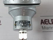 Shanghai Wzp-192 Thermal Resistance Temperature Sensor Pt100 (New)