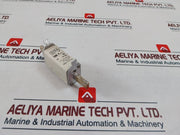 Siba 20 002 13 Fuse 100A