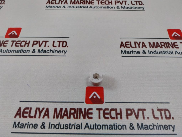 Siemens Diazed Fitting Screw 2A 500V