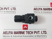 Speedaire 4Zm15 Regulator