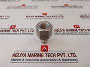 Spir Star Hnf16-mm16-1Pc Tube 1 In Fnpt X Male Medium Pr Adapter