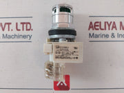 Square D 9001K3L35Lggh13 Illuminated Pushbutton