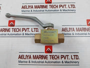 Stauff Bbv20040001H Manual Lever Actuator Ball Valve