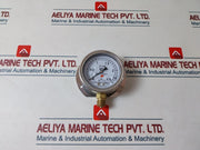 Taixing Dahua Y75Ant/Y7Sant Pressure Gauge 0-2.5 Mpa