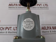 Taylor 95963-25 Pneumatic Pressure Gauge 0.35-2.11 Kg/Cm2, 0-2.11 Kg/Cm2