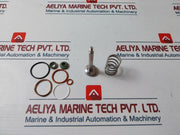 Teamtec 12806 Repair Kit For Sludge Valve Kit