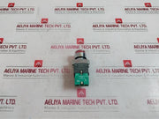 Teknic 2Alrf4L Illuminated Flush Actuator 240VacÂ±20% 500V Ith: 10A 110V, 0.5A