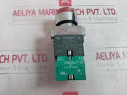 Teknic 2Alrf4L Illuminated Flush Actuator 240VacÂ±20% 500V Ith: 10A 110V, 0.5A