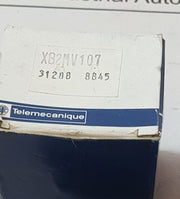 Telemecanique Xb2Mv107 Pilot Light